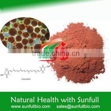 Strong anti-oxidant Haematococcus pluvialis Astaxanthin Powder