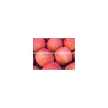 Chinese Fresh Fuji Apple,Red Apple