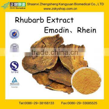 GMP Manufacturer Supply Natural Rhubarb Extract