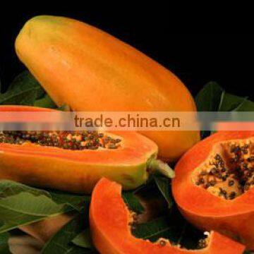 IQF Papaya