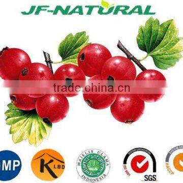 100% Natural Hawthorn Powder Fruit Powder ISO, GMP, HACCP, KOSHER, HALAL Certificated. photo-2