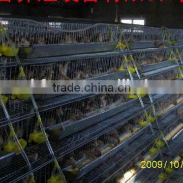 6 Tires 400 Automatic Quails Cage One Side/6 Tiers Two Sides 800 Quails Cages photo-4