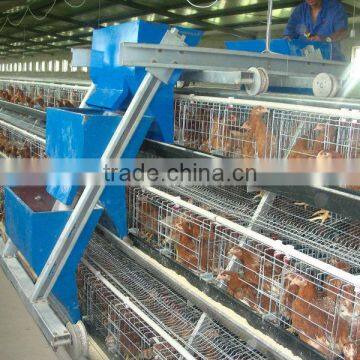 Automatic feeding machine in using for Nigeria