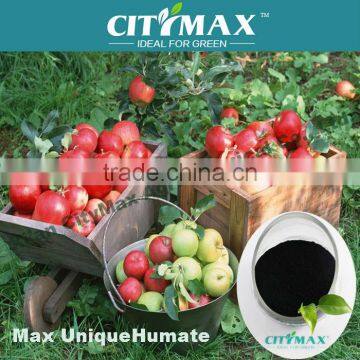 Soluble humic + fulvic vegetable and fruits fertilizers