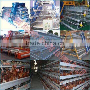 a type chicken cage for poultry farm