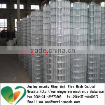 Galvanized Square Hole Stainless Steel welded Wire Mesh