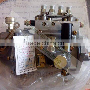 Shanghai New Holland SNH504 Tractor Parts 495A Fuel Injection Pump