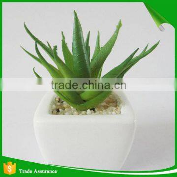Potted Artificial Mini Succulent Plant for Decoration photo-2