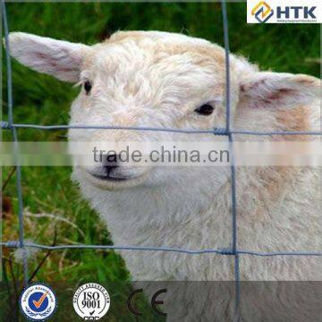 ISO9001 High Tensile Sheep Wire Mesh Fence(hot Sale) photo-3