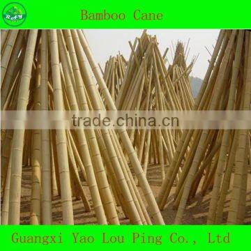 Walking Gun Fencing Bamboo Poles