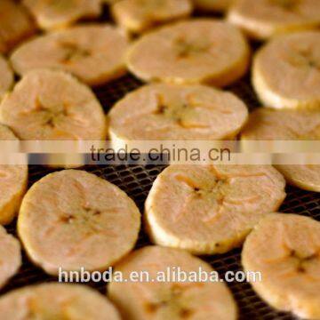 Fruits and Vegetables Dehydration Machines photo-4