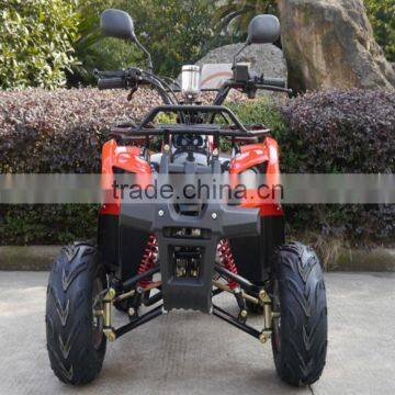 110/250CC Automatic ATV for Sales photo-3