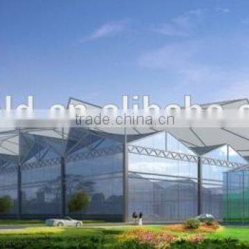 Modern Appearance Used Greenhouse Sale/greenhouses for Tomatoes for Sale/commercial Greenhouse for Sale photo-3