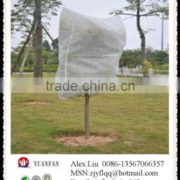 Non Woven Frost Prevention Antifreeze Membrane Protect the Safety of Plants for the Winter photo-3