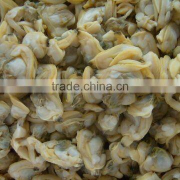 Tasty and Delicious Best Frozen Baby Clam Without Shell Iqf photo-2
