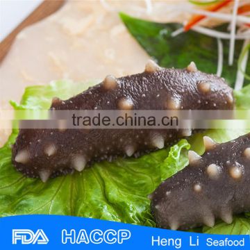 HL011 Hot sale IQF quick freezing sea cucumber