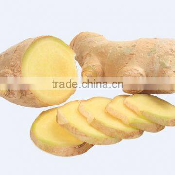 Ginger Tea With Honey Instant Granulated Flavour Herbal Ginger Tea 7g*20 Bags /13g*10 Bags /18g*10 Bags photo-6