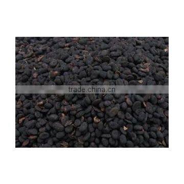 Babchi Seed photo-2