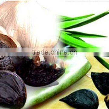 2016New China Garlic for Sale With Good Quality--HC Company photo-3