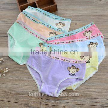 Teen Girls Cotton Comfortable Pants Students Underpants Women Underwear photo-4