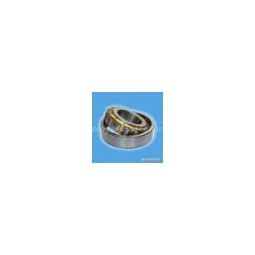 RLS18 Deep Groove Ball Bearing