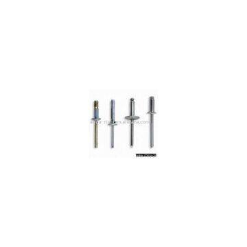 Blind Rivet/Open Type Rivet/Steel Rivet