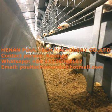 Gabon Poultry Farm Battery Chicken Cage & Poultry Cage & Small Layer Cage Used in Brooding Room