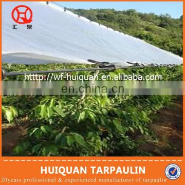 pe waterproof sunproof tarpaulin sheet for agricultural