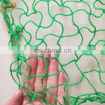Anti Bird Netting Pond Black Net Protect Crops Plant Fruit Bird Preventing Garden Mesh photo-2
