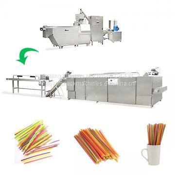 Biodegradable Rice Drinking Straw Processing Line photo-2