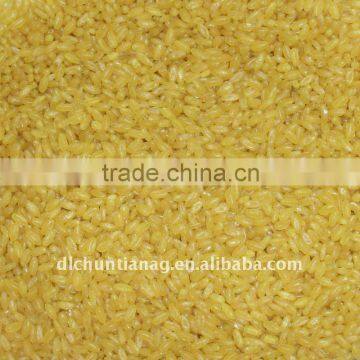 golden rice