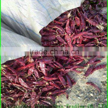 (HOT) RED DRIED CHILLI / CHILLI CHINA / RED CHILLI PRICE