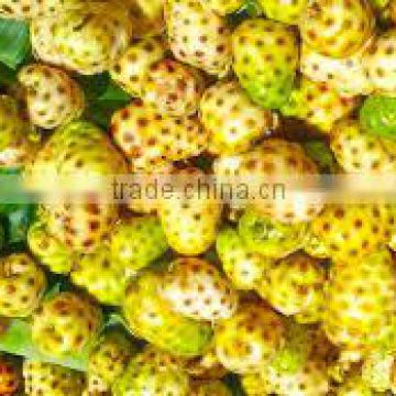 100% organic Noni powder for Export