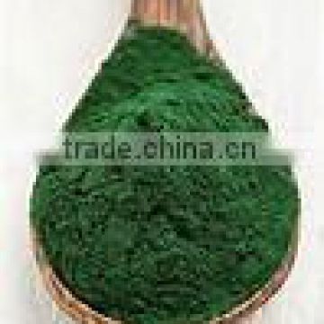 Organic Spirulina powder for export