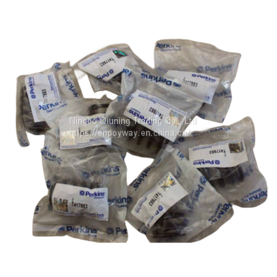 VALVE SPRING T417883 436-0519or Perkins Engine 1000and1100 Series