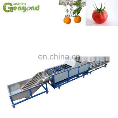 Fruit & Vegetable Washing/drying/waxing/sorting Line/machine/fruits Processing Plant photo-4