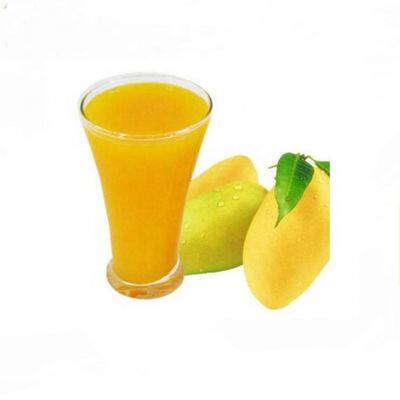 Shanghai 5ton Complete Mango Puree Processing Machines