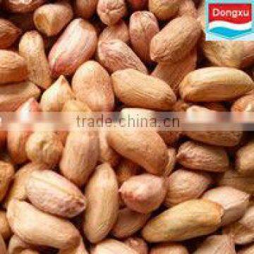 raw peanuts long type