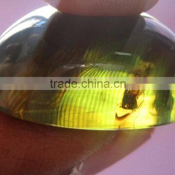 Natural Amber With Insects Inside