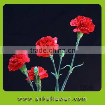Natural exquisite flower real touch single carnation for mother's day