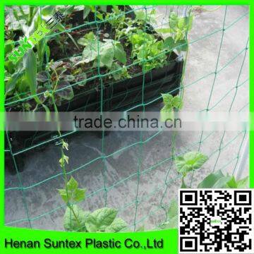 SUPER Plastic Garden Mesh for Growing Plants Support photo-5