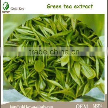Green tea extract powder with 99% L-Theanine