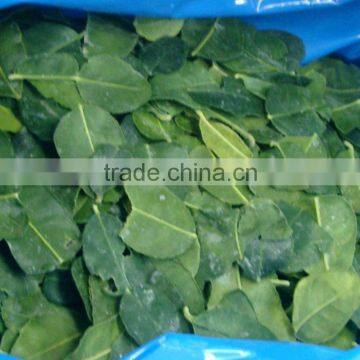 FROZEN KAFFIR LIME LEAVES