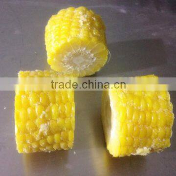 IQF Corn Cut With Best Quality photo-5