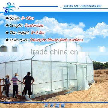 Cheap Plastic Film Greenhouse for Sale photo-6