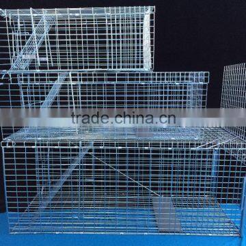 solid humane cat ferret cage trap with a single door