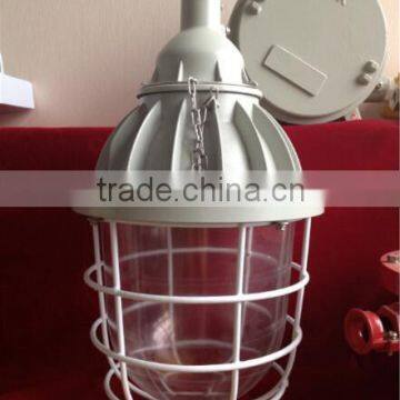 BAD51 High Quality Professional Explosion Proof Energy Saving Lamp photo-4