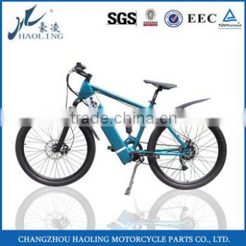 Chinese best e bike manufacturer,cheap aliminum alloy e bike with Brushless Motor