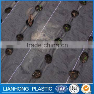 Weed Control Fabric Ground Cover Membrane Landscape Mulch Garden 100gsm 2M*200M photo-2