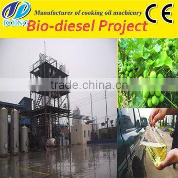 New technic palm oil biodiesel production plant